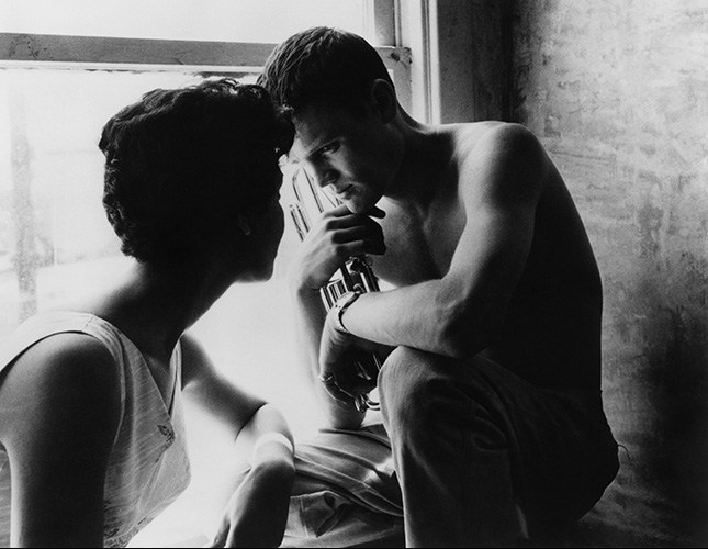 Birdman of the&nbsp;Moon