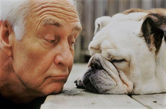 La suerte del señor de los&nbsp;paseos