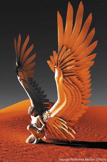 Bajo el cielo de Zhutara: Parte&nbsp;II